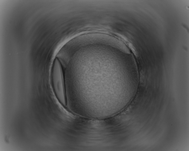 X0000091911520200709191310