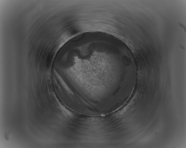 X0000091911521200709191310