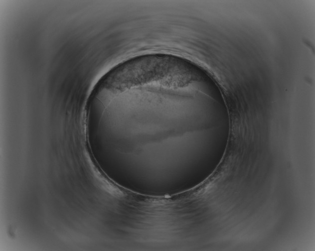 X0000091911522200709191310