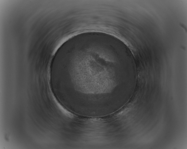 X0000091911523200709191310