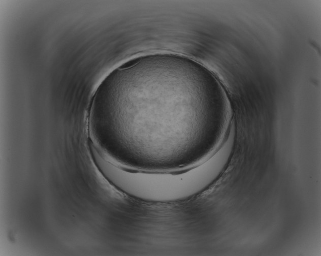 X0000091911524200709191310