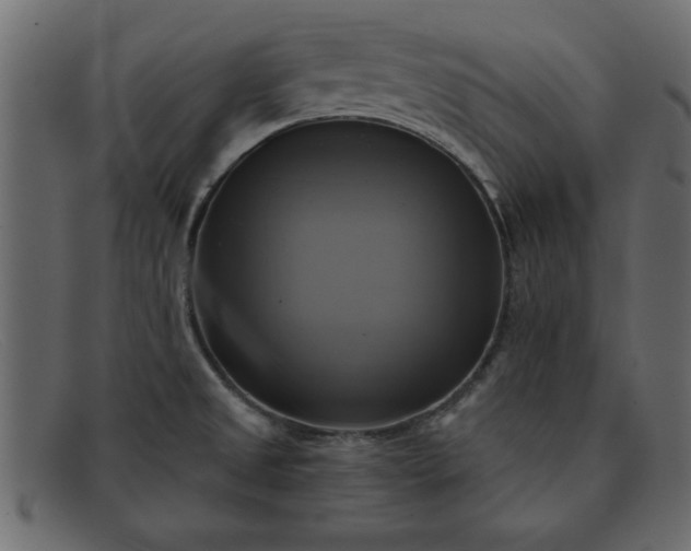 X0000091911525200709191310