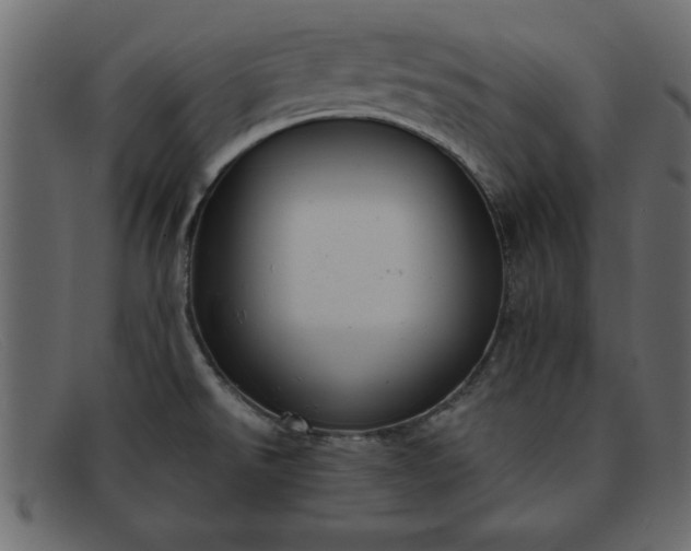 X0000091911526200709191310