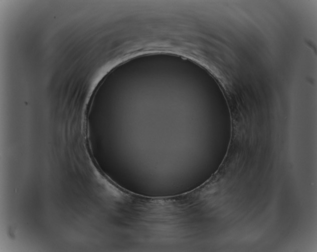 X0000091911527200709191310