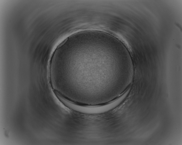 X0000091911528200709191310