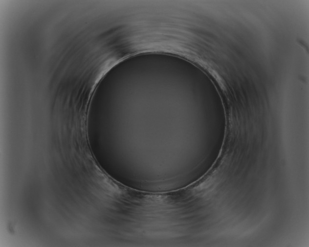 X0000091911529200709191310