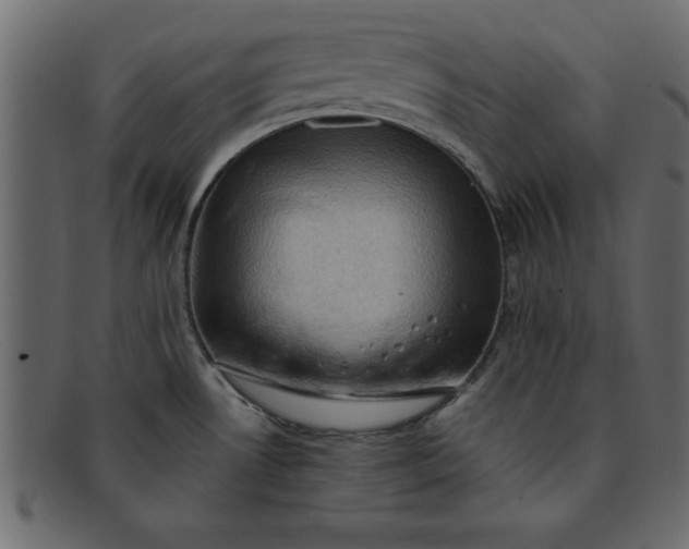 X0000091911530200709191310