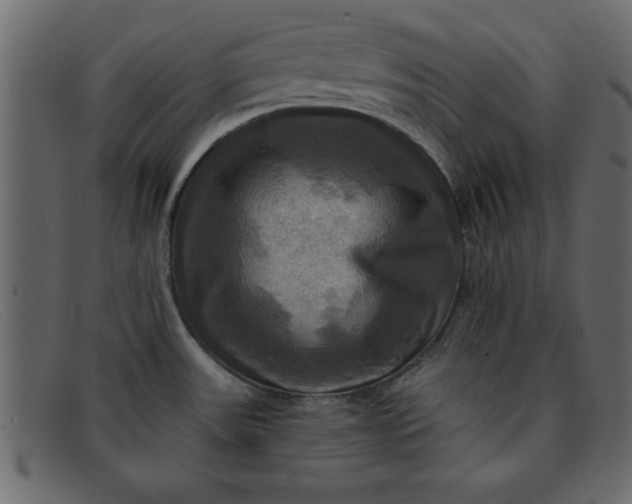 X0000091911531200709191310