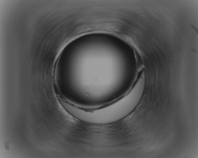 X0000091911532200709191310