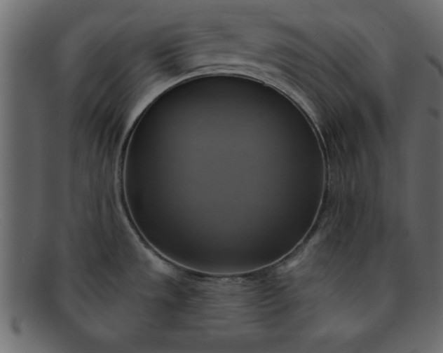 X0000091911533200709191310