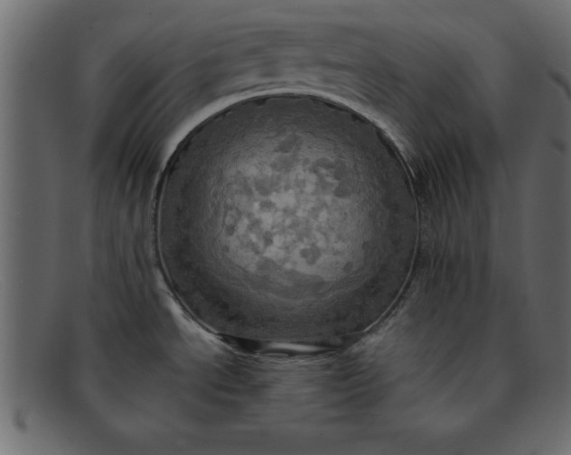 X0000091911534200709191310