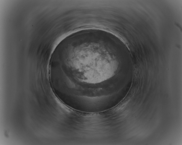 X0000091911535200709191310