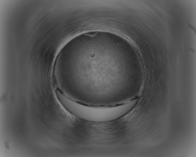 X0000091911536200709191310