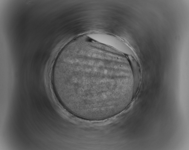 X0000091910001200709261724