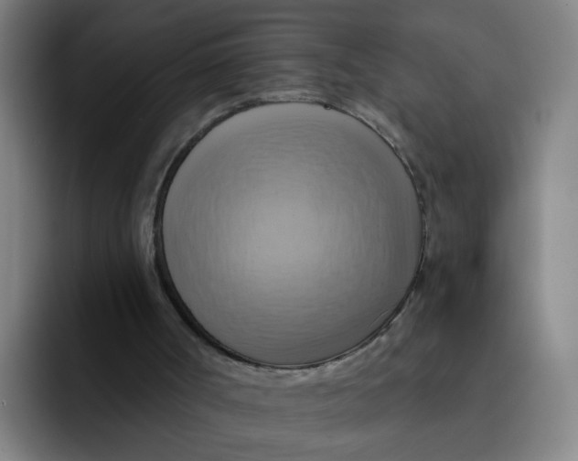 X0000091910002200709261724