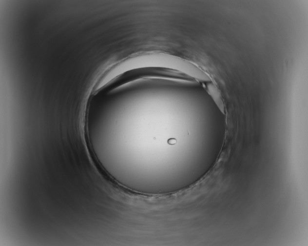 X0000091910003200709261724