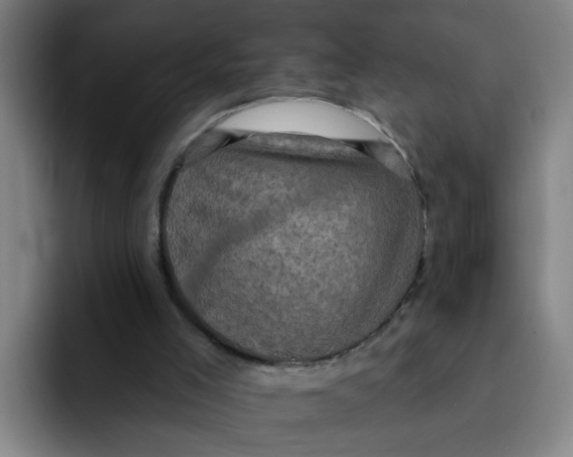 X0000091910005200709261724