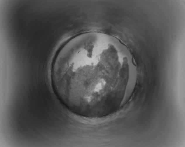 X0000091910006200709261724