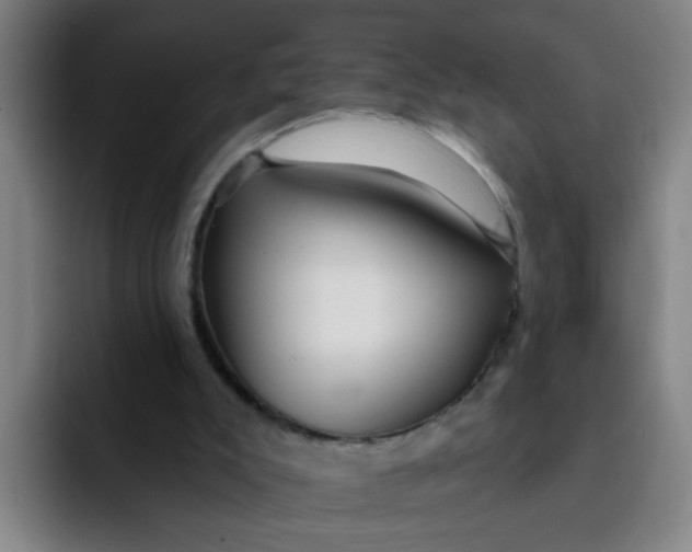 X0000091910007200709261724