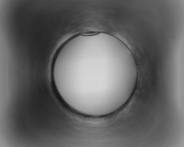 X0000091910008200709261724