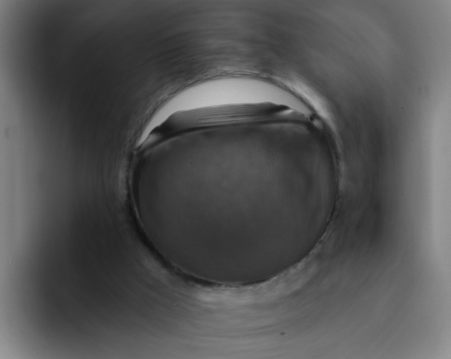 X0000091910009200709261724