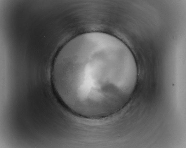 X0000091910010200709261724