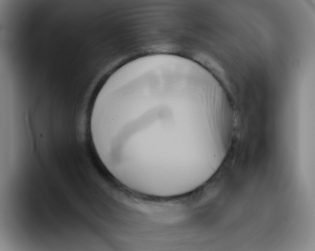 X0000091910012200709261724