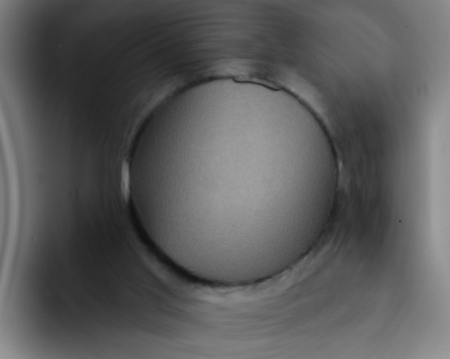 X0000091910013200709261724