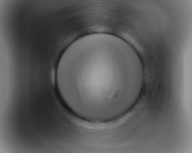 X0000091910014200709261724