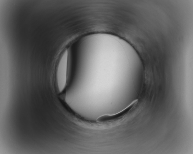 X0000091910015200709261724