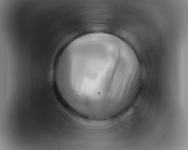 X0000091910016200709261724