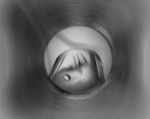 X0000091910017200709261724