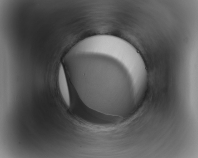 X0000091910018200709261724