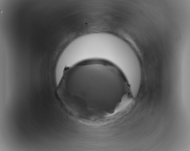 X0000091910019200709261724