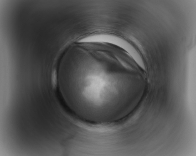 X0000091910020200709261724