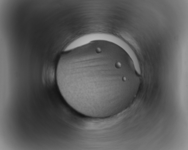 X0000091910021200709261724