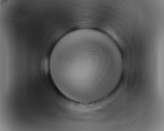 X0000091910022200709261724