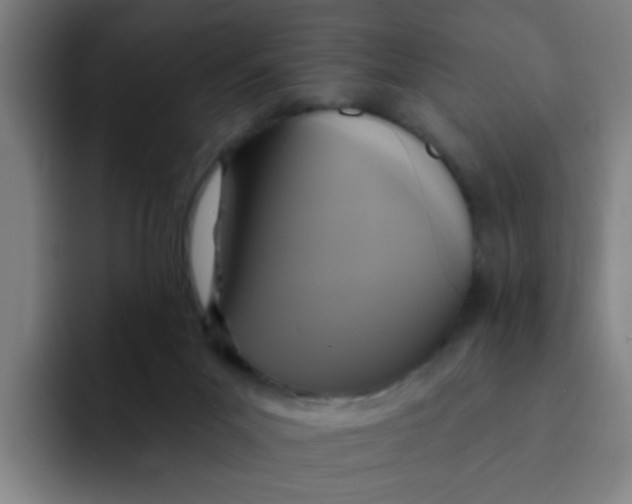 X0000091910023200709261724