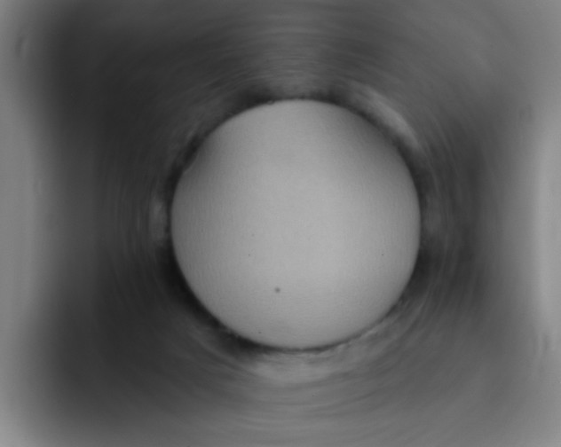 X0000091910025200709261724