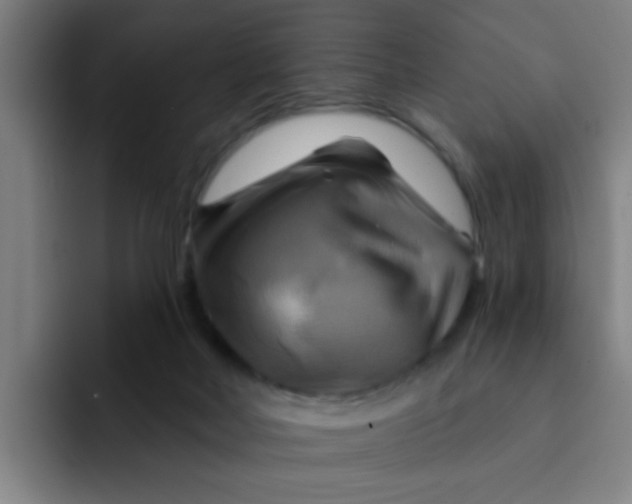 X0000091910026200709261724