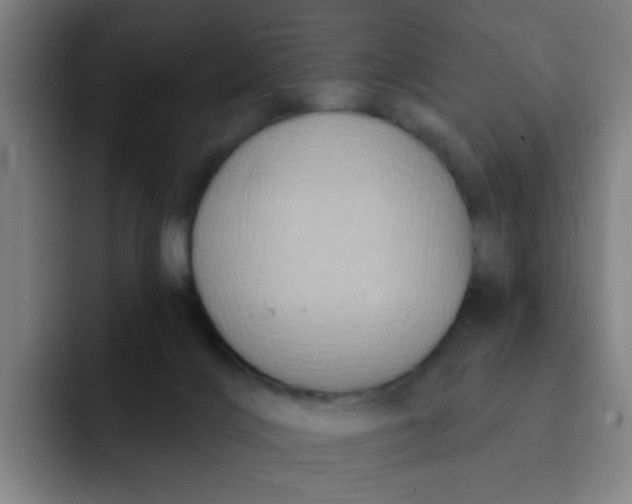 X0000091910028200709261724