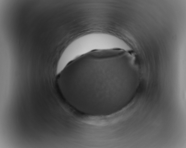 X0000091910029200709261724