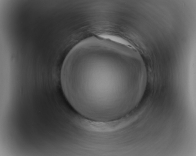 X0000091910030200709261724