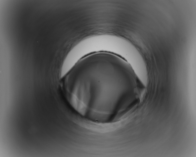 X0000091910031200709261724