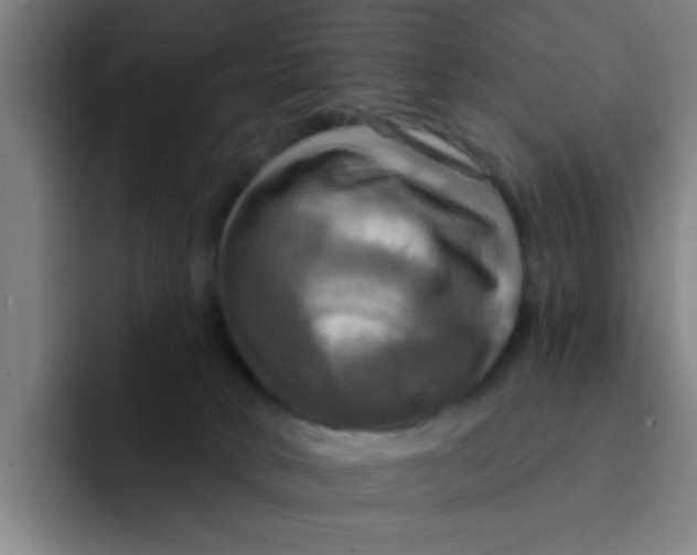 X0000091910034200709261724