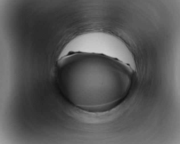 X0000091910035200709261724