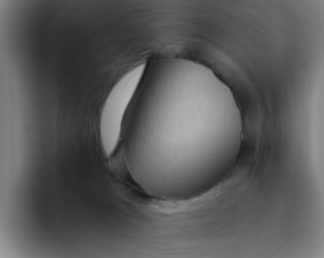 X0000091910037200709261724