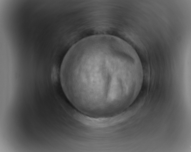 X0000091910038200709261724