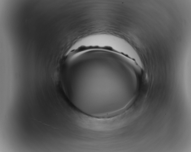 X0000091910039200709261724