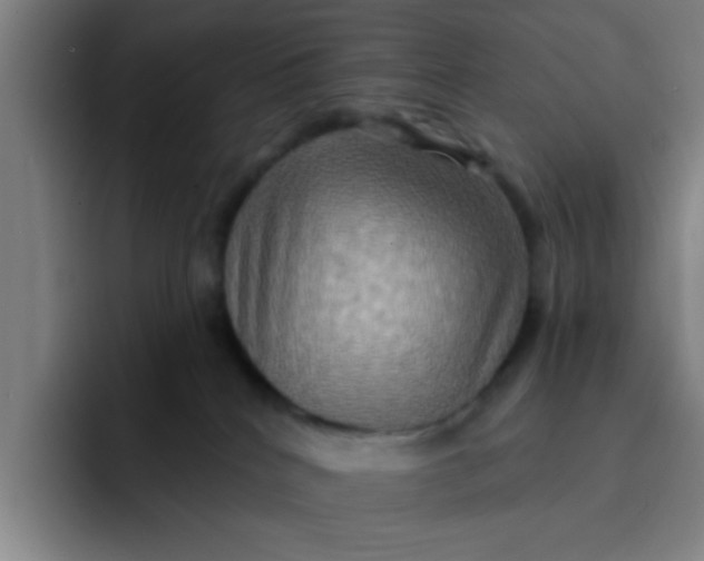 X0000091910040200709261724